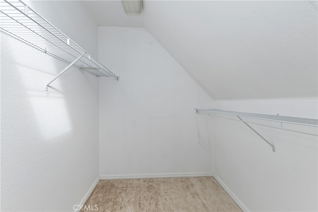 walk in closet featuring lofted ceiling and light colored carpet