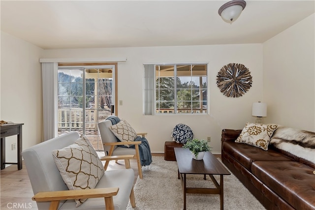 living room with light hardwood / wood-style flooring