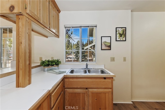 kitchen featuring hardwood / wood-style flooring and sink