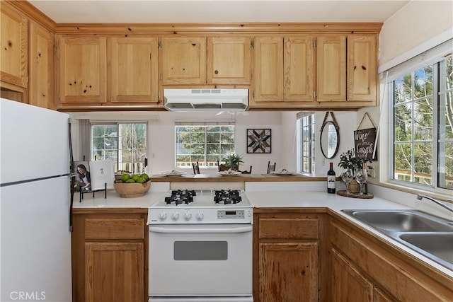 kitchen featuring sink, a wealth of natural light, and white appliances