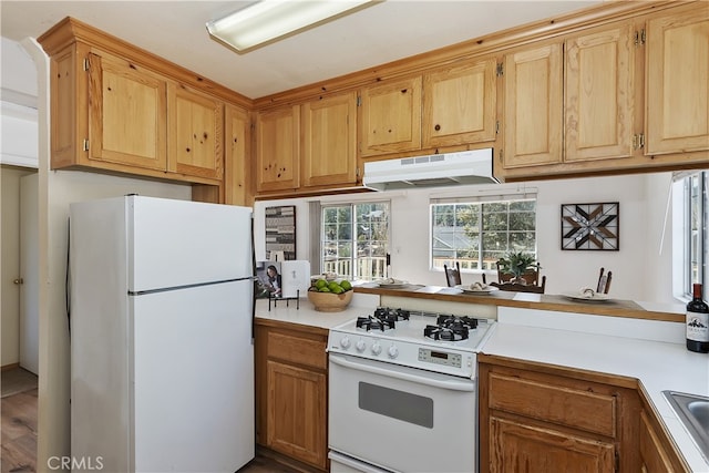 kitchen with sink and white appliances