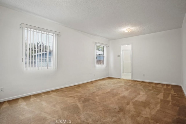 empty room featuring carpet and a textured ceiling