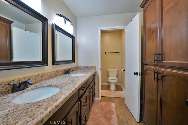 bathroom with wood-type flooring, vanity, and toilet