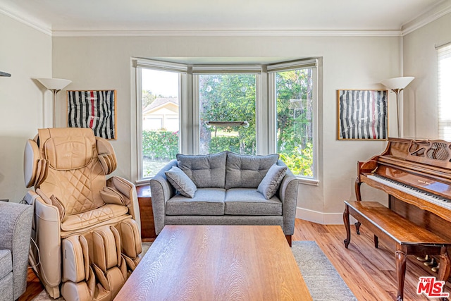 living room featuring ornamental molding and light wood-type flooring