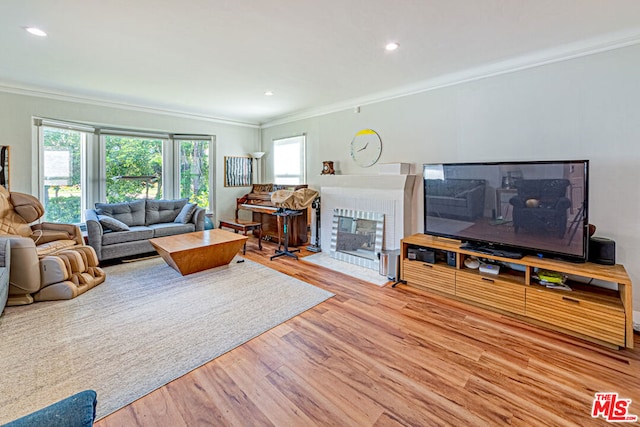 living room with crown molding and light hardwood / wood-style floors