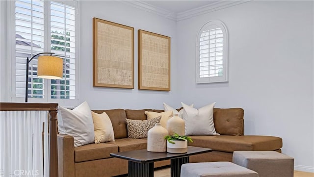 living room featuring crown molding