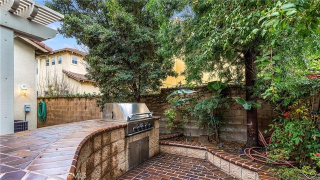 view of patio featuring area for grilling and exterior kitchen