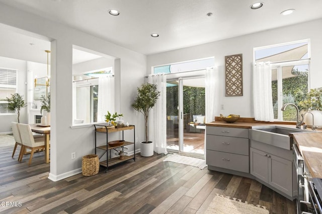 interior space with gray cabinets, sink, dark wood-type flooring, and wooden counters