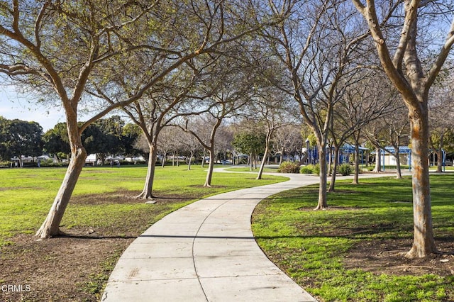 view of property's community with a yard