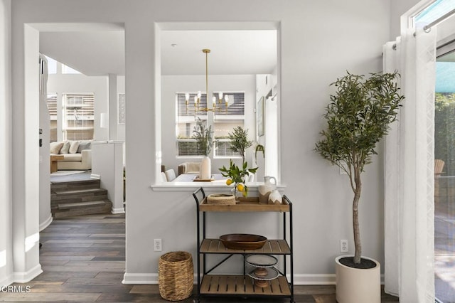 interior space featuring an inviting chandelier and dark hardwood / wood-style flooring