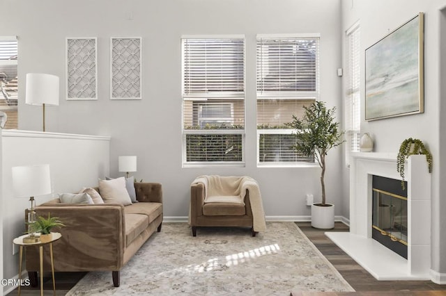 living area with hardwood / wood-style flooring