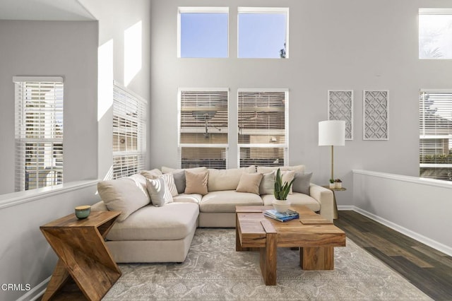 living room featuring hardwood / wood-style floors and a high ceiling