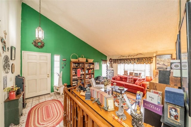 living room with lofted ceiling