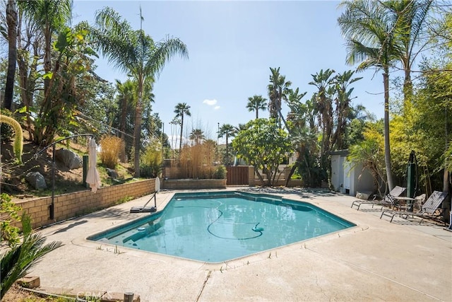 pool with a patio area and a fenced backyard