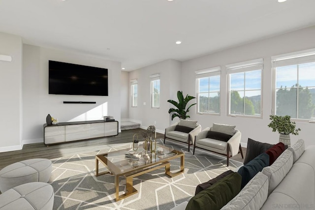 living room featuring hardwood / wood-style floors