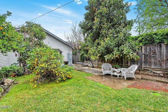 view of yard featuring a patio area