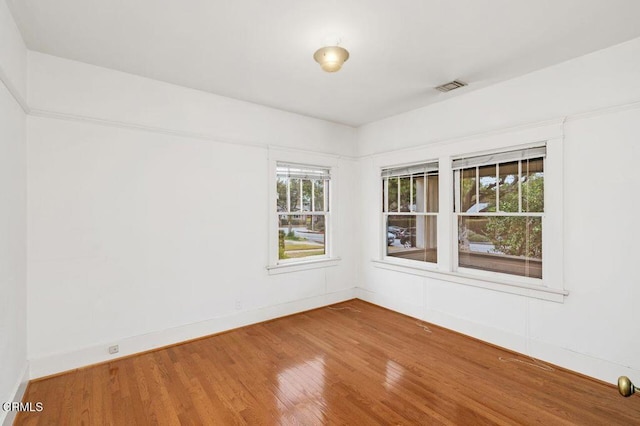 spare room featuring plenty of natural light and wood-type flooring