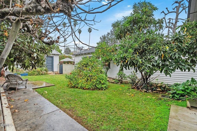 view of yard featuring a patio area