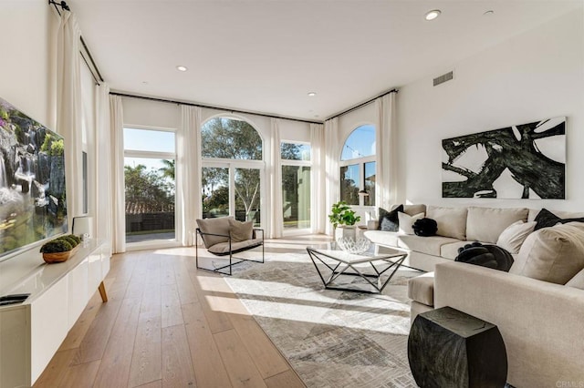 living room featuring plenty of natural light and light hardwood / wood-style floors