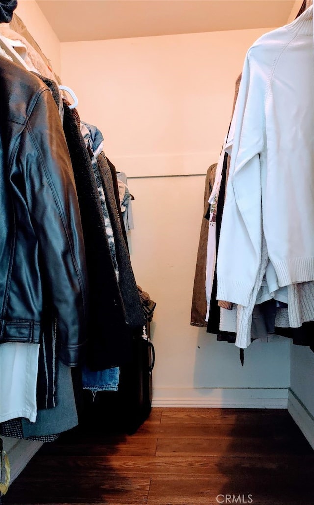 spacious closet featuring dark hardwood / wood-style floors