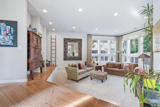 living room featuring light hardwood / wood-style floors