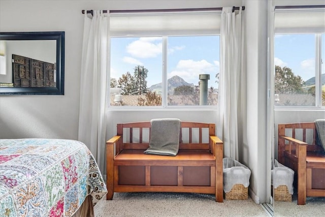 bedroom featuring a mountain view