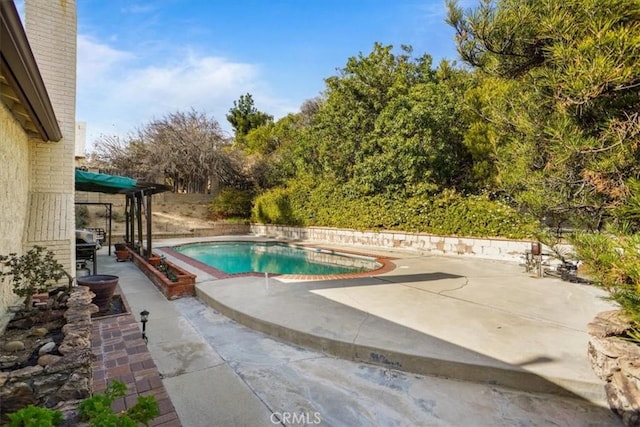 view of pool with a patio area