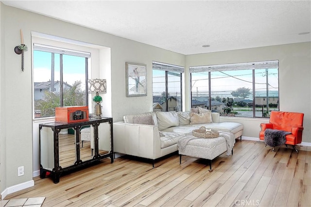 living room featuring light wood-style floors, a wealth of natural light, and baseboards