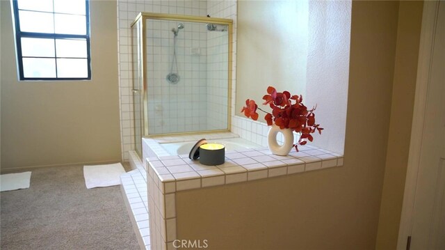 bathroom featuring a shower with door