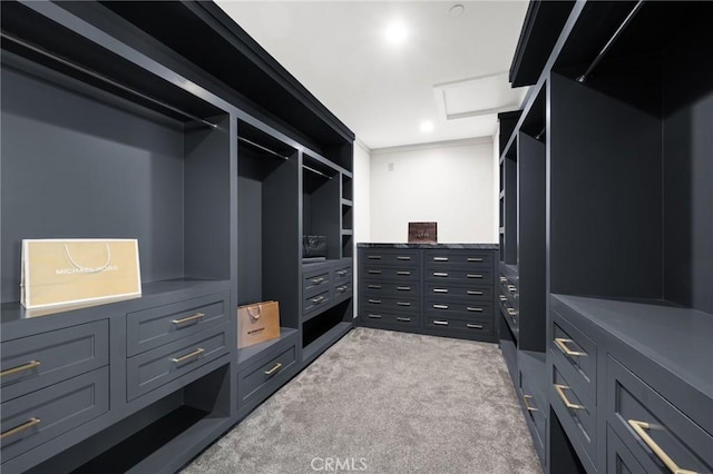 spacious closet with light colored carpet