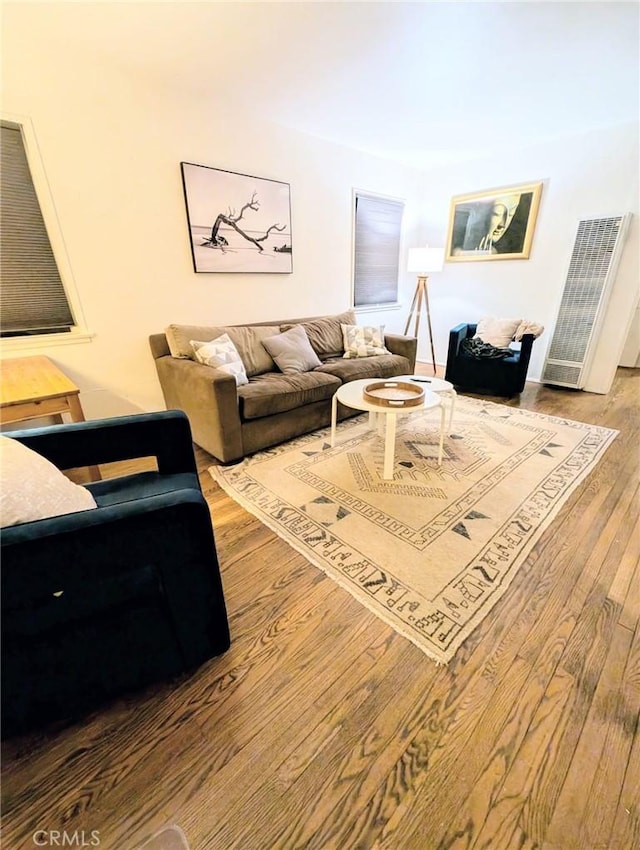 living room featuring wood-type flooring