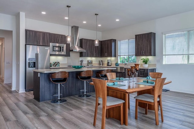 kitchen featuring appliances with stainless steel finishes, dark brown cabinets, exhaust hood, and decorative light fixtures