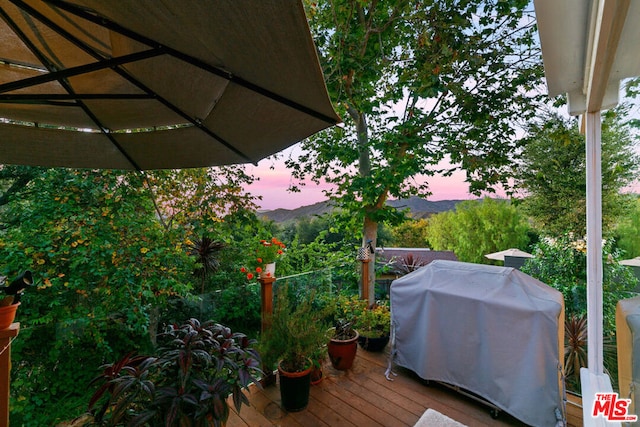 deck at dusk with grilling area