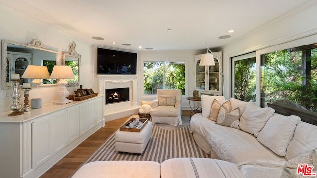 living room featuring hardwood / wood-style floors and crown molding