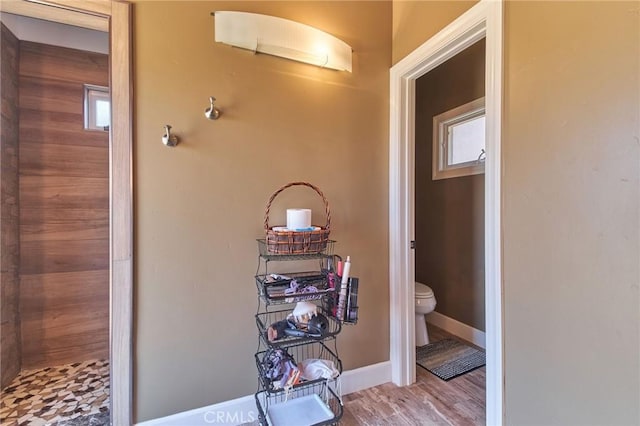 bathroom with wood-type flooring and toilet