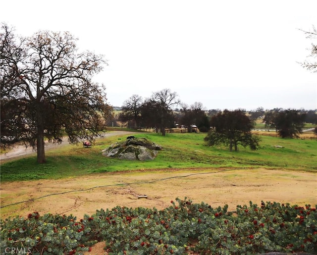 34310 Barn Owl Rd, Raymond, CA 93653 - photo 46