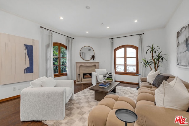 living room featuring hardwood / wood-style flooring and a premium fireplace