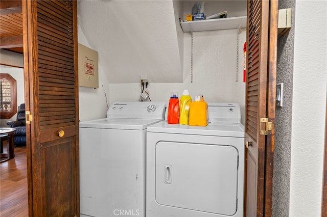 laundry area with wood-type flooring and washing machine and dryer