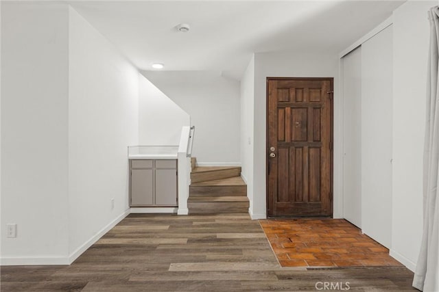 entrance foyer with dark wood-type flooring