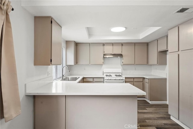 kitchen with sink, gas range gas stove, dark hardwood / wood-style floors, kitchen peninsula, and a raised ceiling