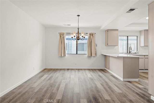 unfurnished dining area with a healthy amount of sunlight, sink, and light hardwood / wood-style floors