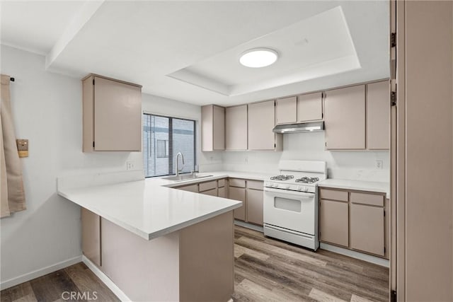 kitchen featuring sink, white range with gas stovetop, a tray ceiling, light hardwood / wood-style floors, and kitchen peninsula