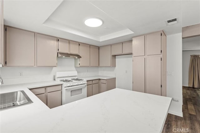 kitchen featuring sink, a tray ceiling, dark hardwood / wood-style flooring, and white gas stove