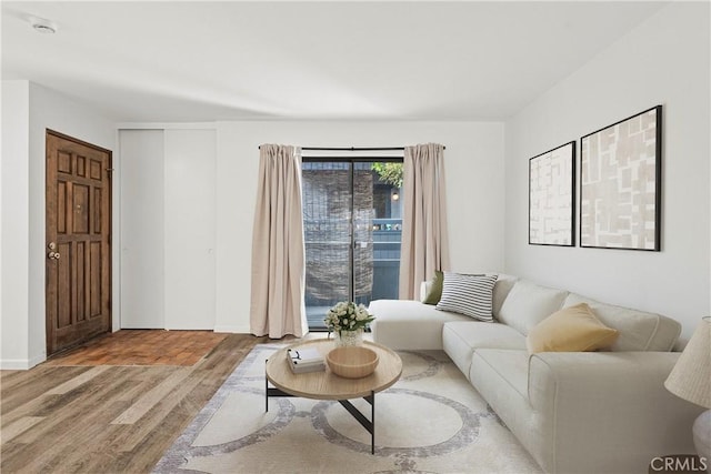 living room featuring light hardwood / wood-style floors