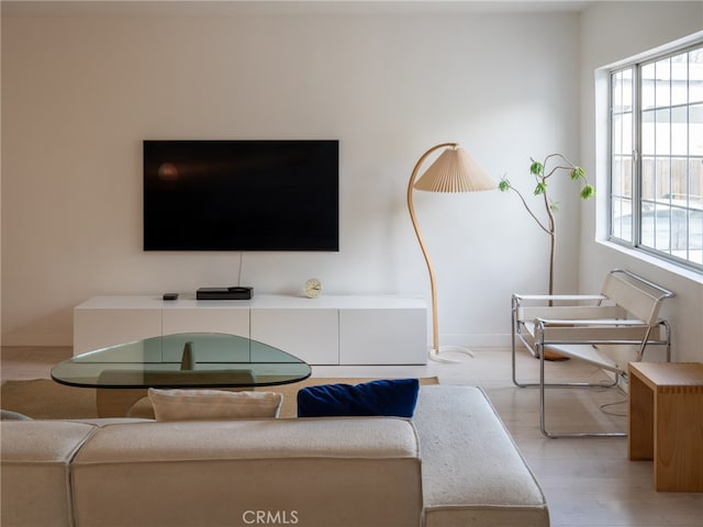 living room featuring light hardwood / wood-style flooring