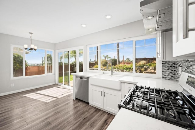 kitchen with white cabinetry, wood-type flooring, sink, backsplash, and stainless steel appliances