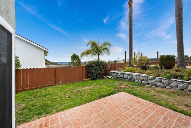 view of yard featuring a patio area