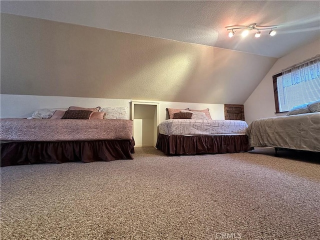 bedroom with lofted ceiling, a textured ceiling, and carpet