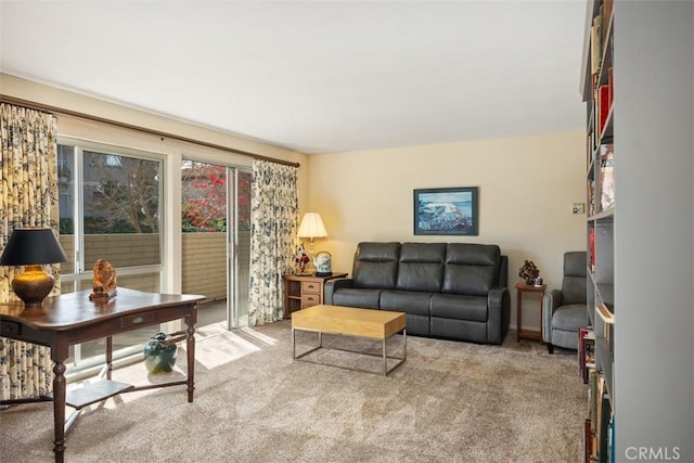 view of carpeted living room