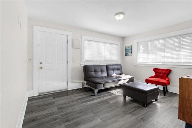 sitting room featuring dark hardwood / wood-style flooring